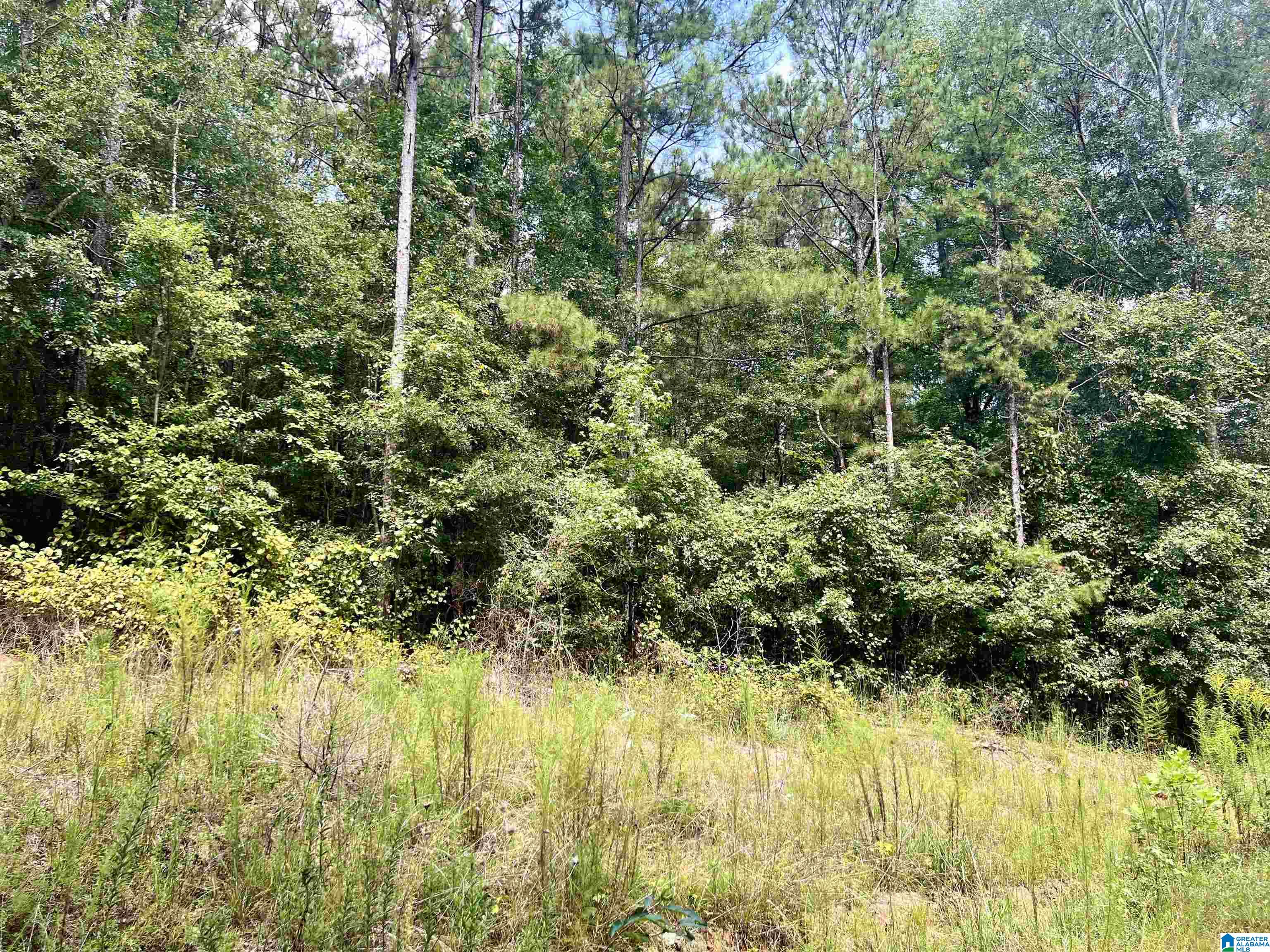 252 County Road 252 Wedowee, AL 36278 - Photo 5 of 9
