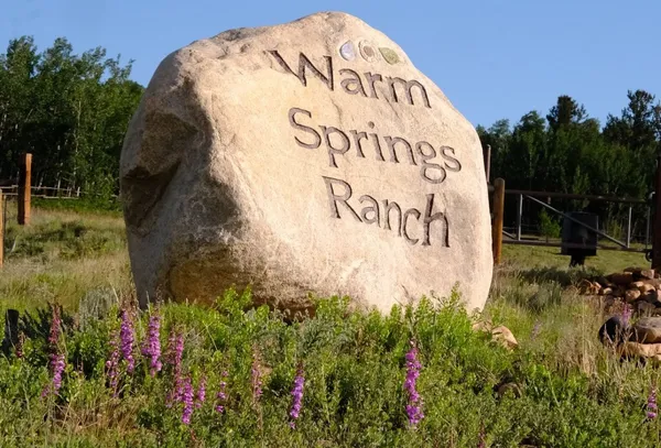 $108,100 | 1077 Sheep Ridge Road, Fairplay, CO 80440