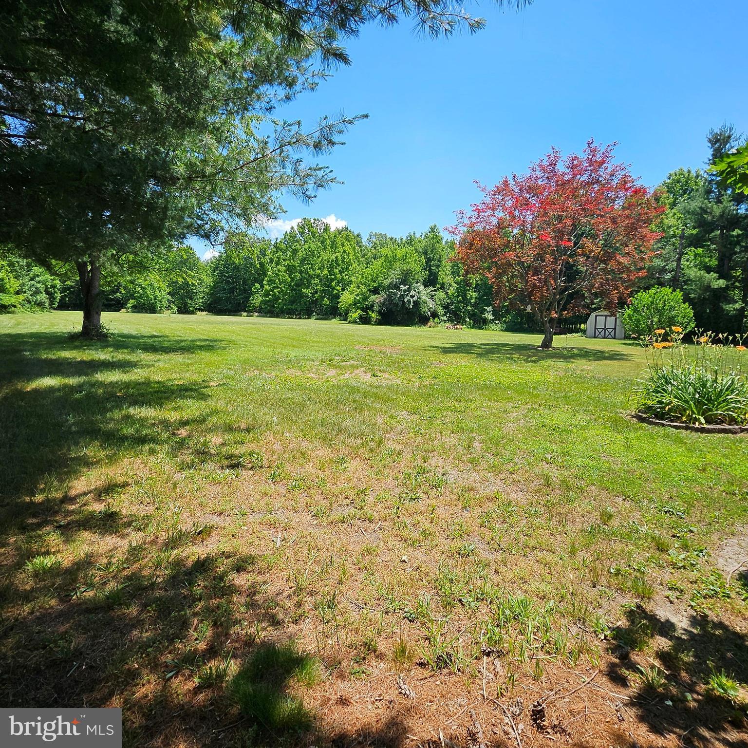 788 Holletts Corner Road Clayton, DE 19938 - Photo 12 of 20 Beautiful backyard with shed #2