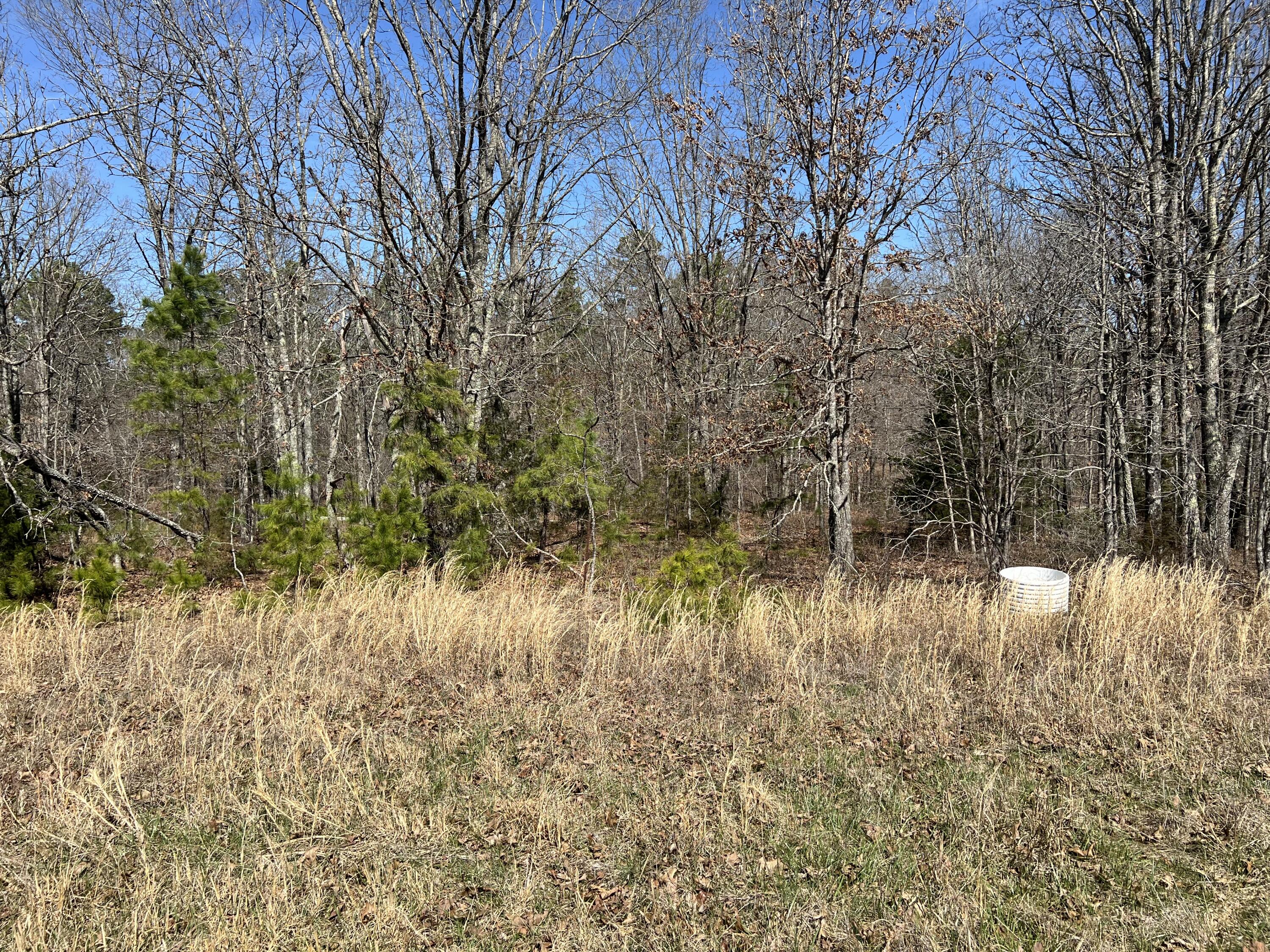 23813 State Rte Z Summersville, MO 65571 - Photo 75 of 92 IMG_4971