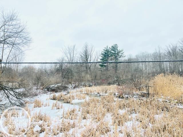 Vl Sunnyside Road Smiths Creek, MI 48074 - Photo 1 of 5