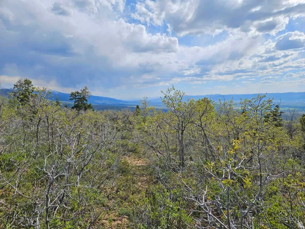 $29,900 | 1246 East North Fork Road South, Unit 1246, Mount Pleasant, UT 84647