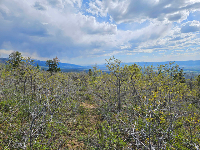 1246 East North Fork Road South, Unit 1246 Mount Pleasant, UT 84647 - Photo 1 of 7
