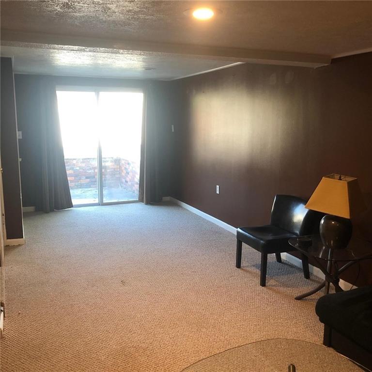 601 Burchfield Road Allison Park, PA 15101 - Photo 19 of 24 Low level game room