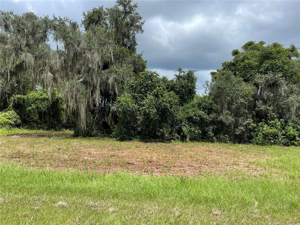 465 Long And Winding Road Groveland, FL 34737 - Photo 1 of 1 Gallery Image 1