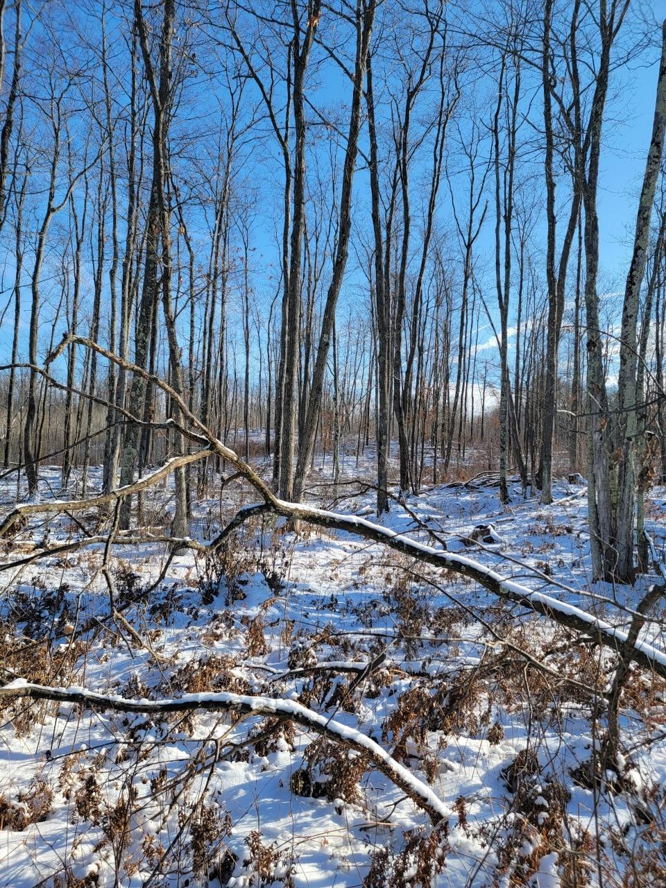 On Rollingwood Road Stone Lake, WI 54876 - Photo 25 of 32 Gallery Image 25
