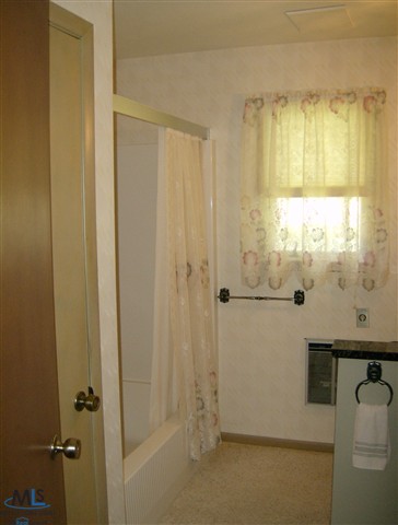 6061 South Ubly Road Ubly, MI 48475 - Photo 7 of 14 This is another view of the main bath.