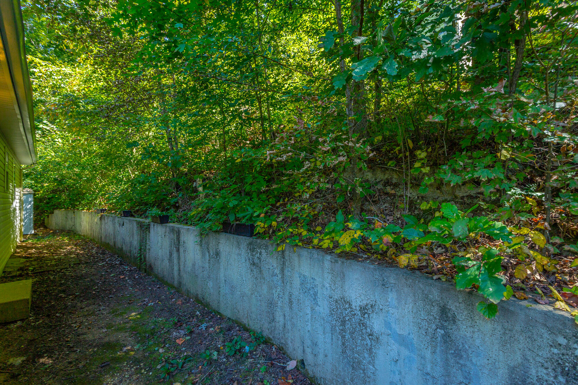 6656 Sandswitch Road Hixson, TN 37343 - Photo 31 of 35 Low maintenance backyard