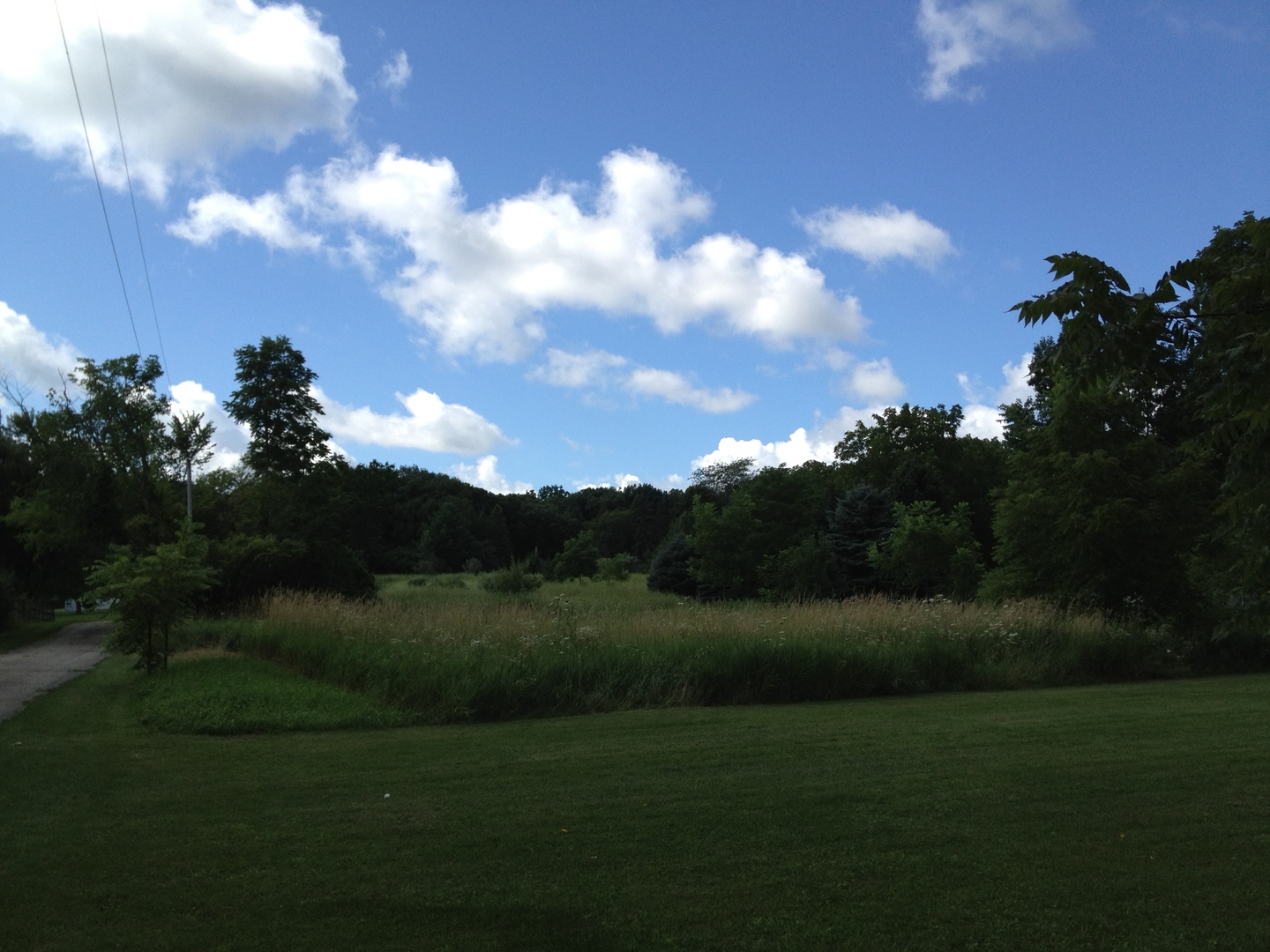 a view of outdoor space and yard
