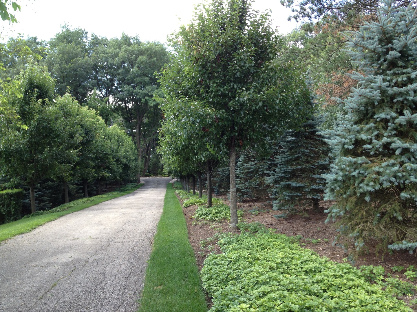 157 G Helm Road Barrington, IL 60010 - Photo 2 of 11 a view of a pathway both side of yard and green space