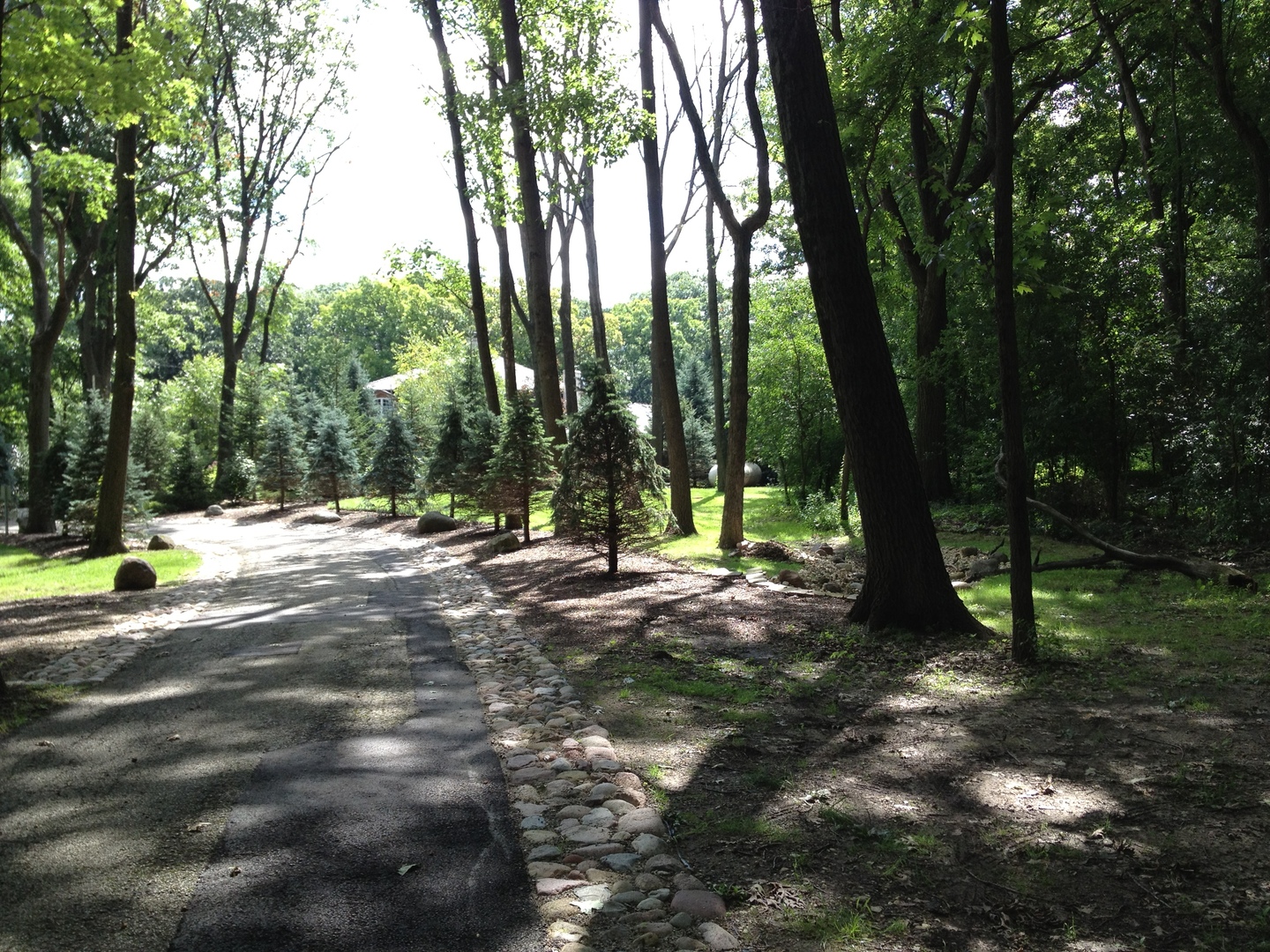 157 G Helm Road Barrington, IL 60010 - Photo 3 of 11 a view of outdoor space with trees