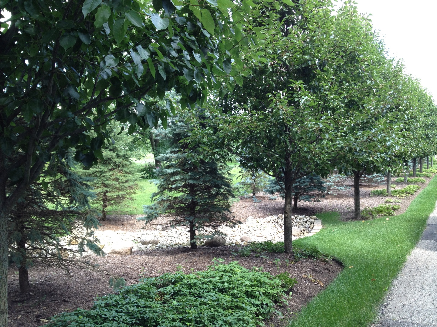 157 G Helm Road Barrington, IL 60010 - Photo 5 of 11 a view of a tree in a yard