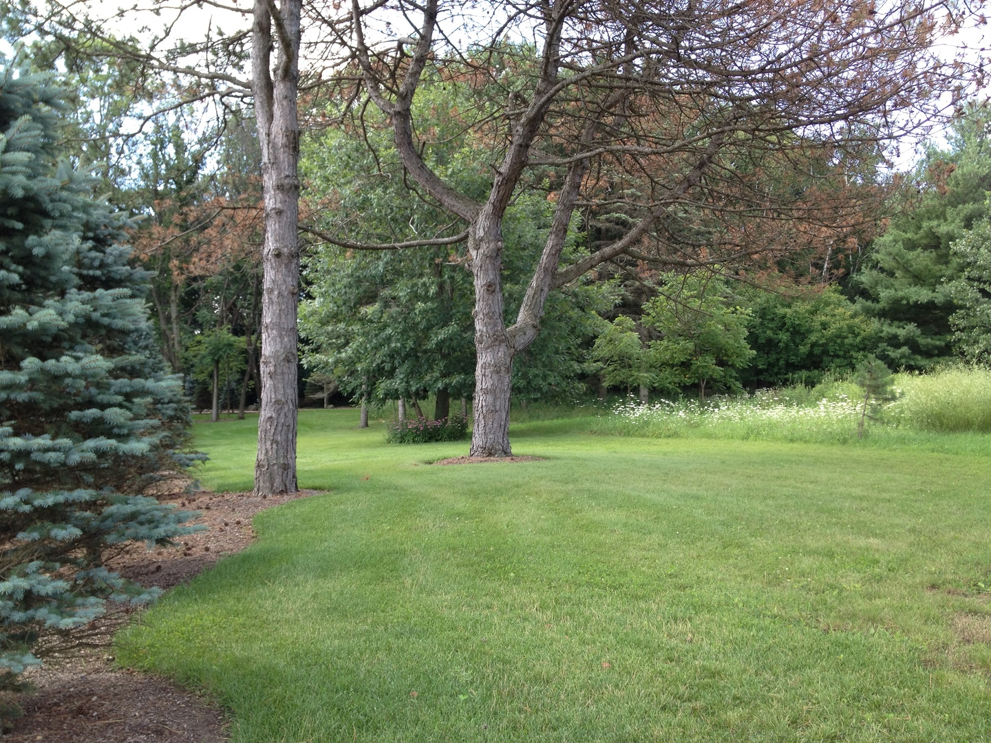 157 G Helm Road Barrington, IL 60010 - Photo 6 of 11 a view of a field with a tree