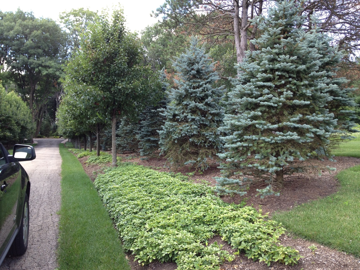157 G Helm Road Barrington, IL 60010 - Photo 7 of 11 a view of a garden