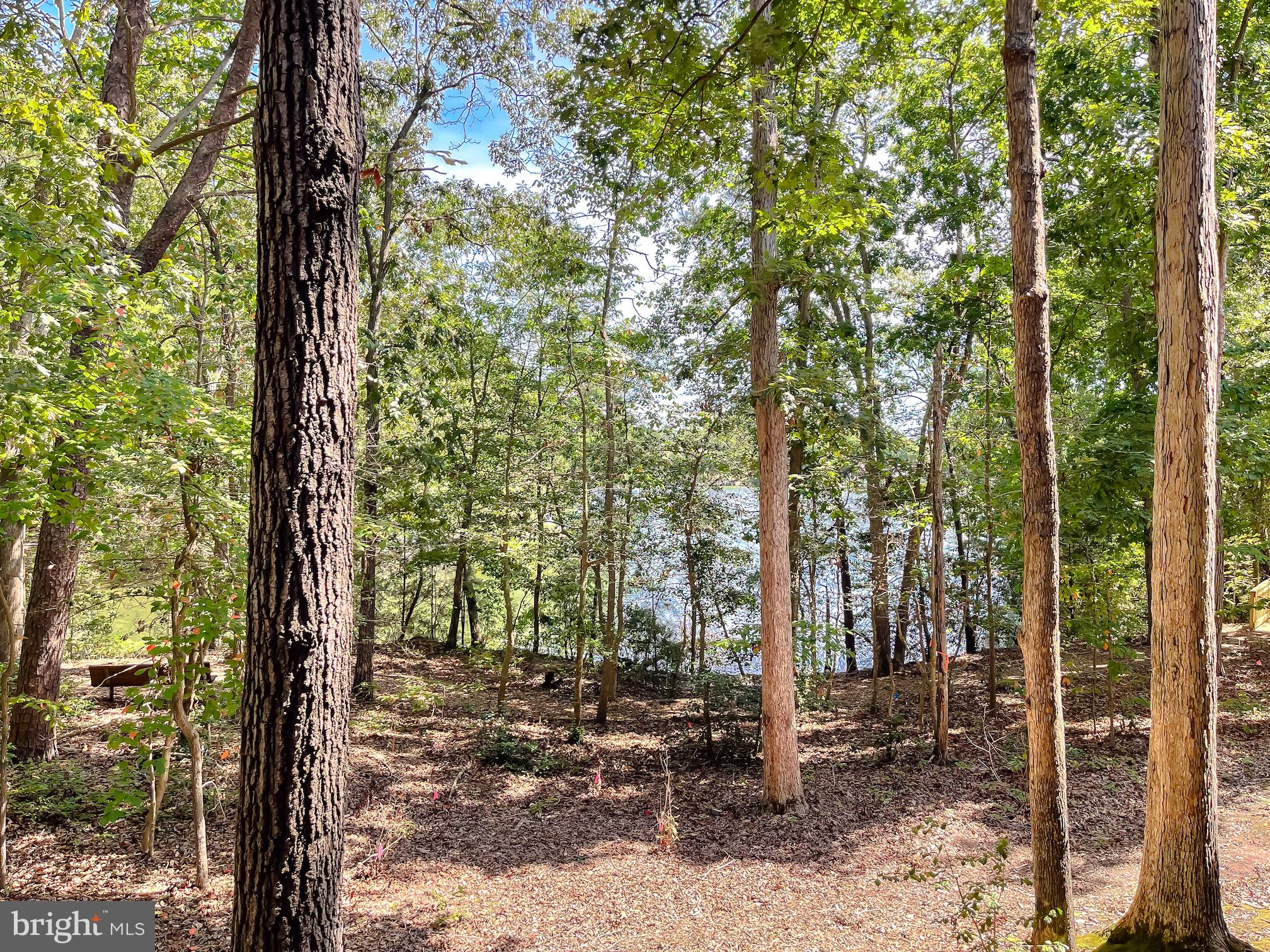 804 Runabout Loop, Unit 804 Solomons, MD 20688 - Photo 20 of 22