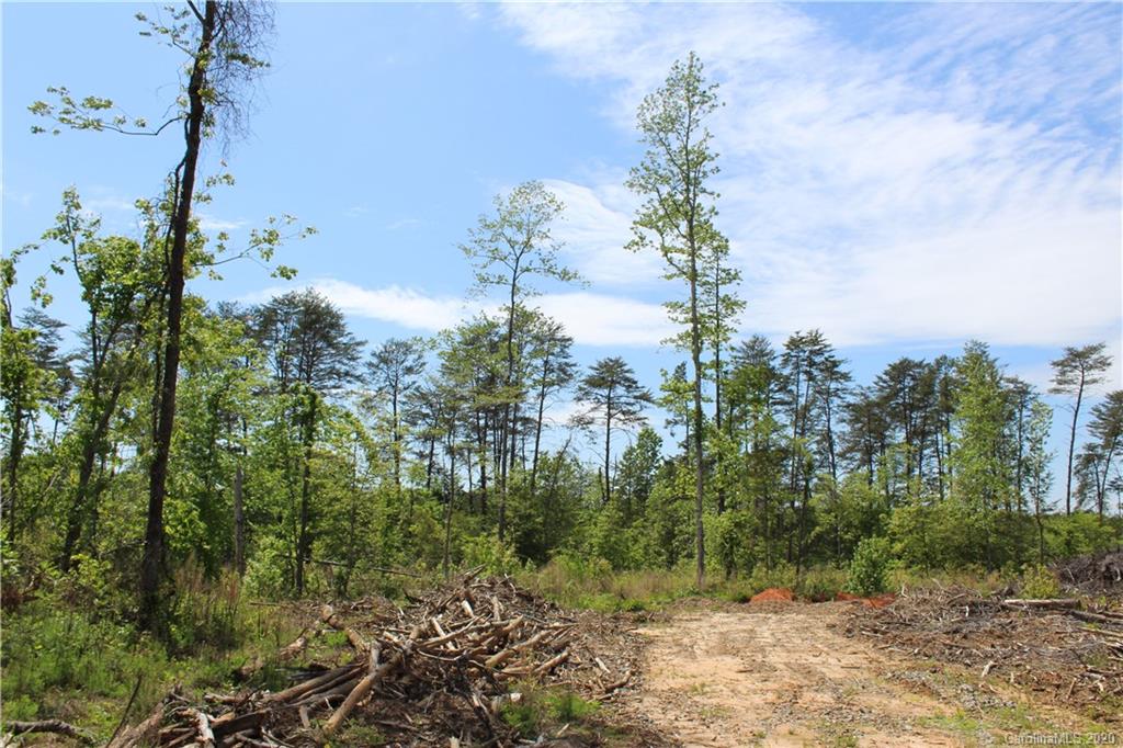 0 Poors Ford Road Tryon, NC 28782 - Photo 22 of 26