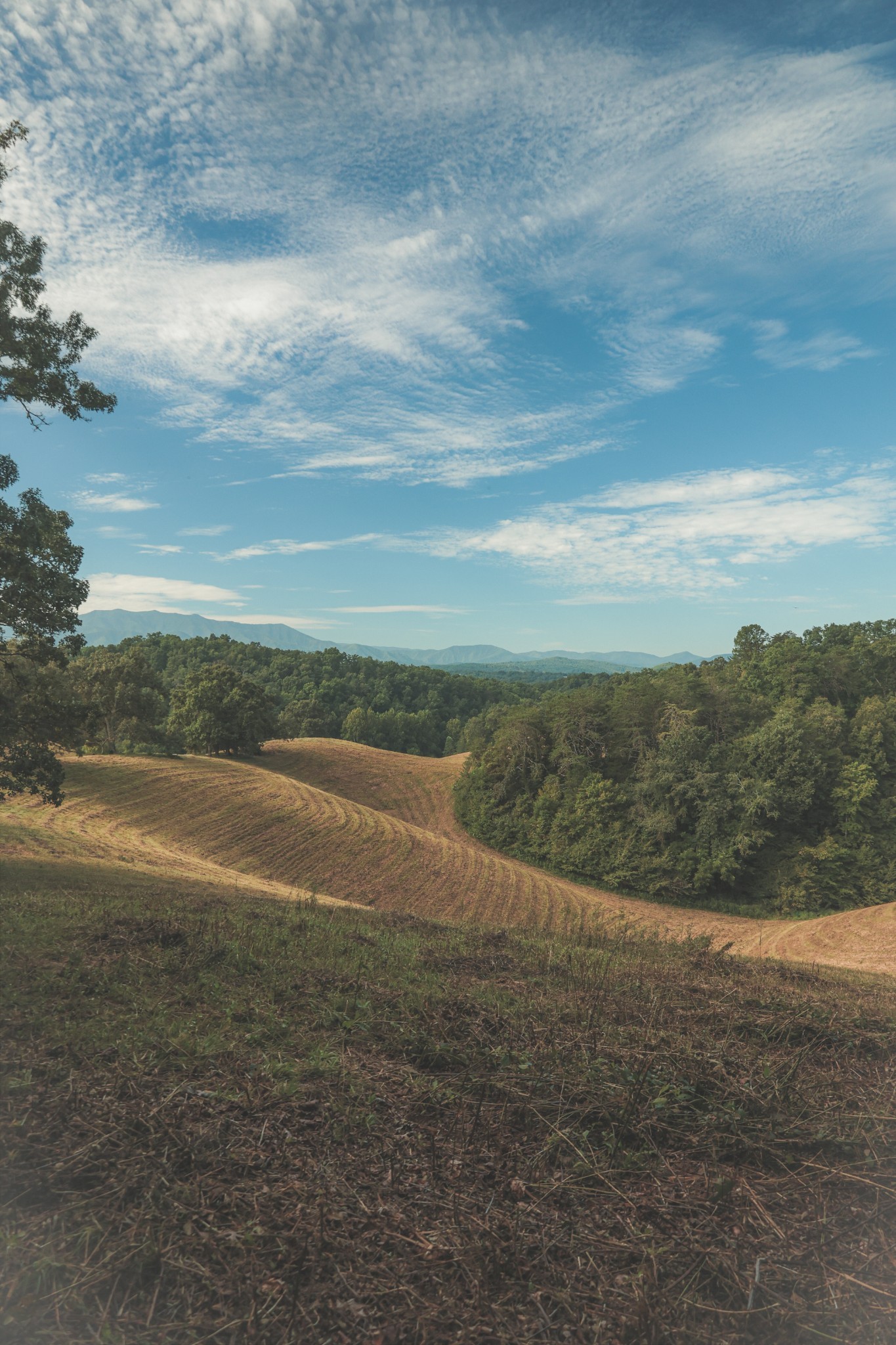 1634 Dixon Branch Road Sevierville, TN 37876 - Photo 83 of 86 Gallery Image 83