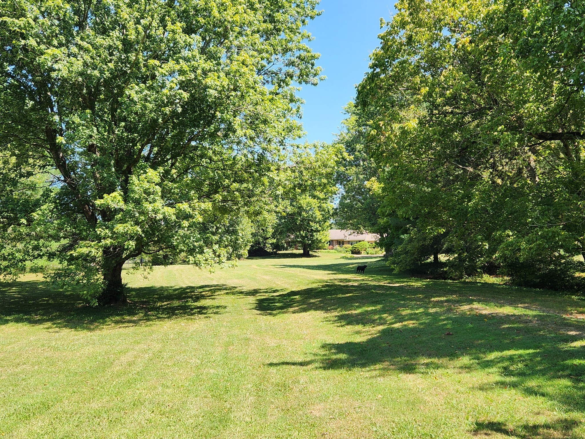 264 Puncheon Camp Road Bell Buckle, TN 37020 - Photo 3 of 36 Gallery Image 3