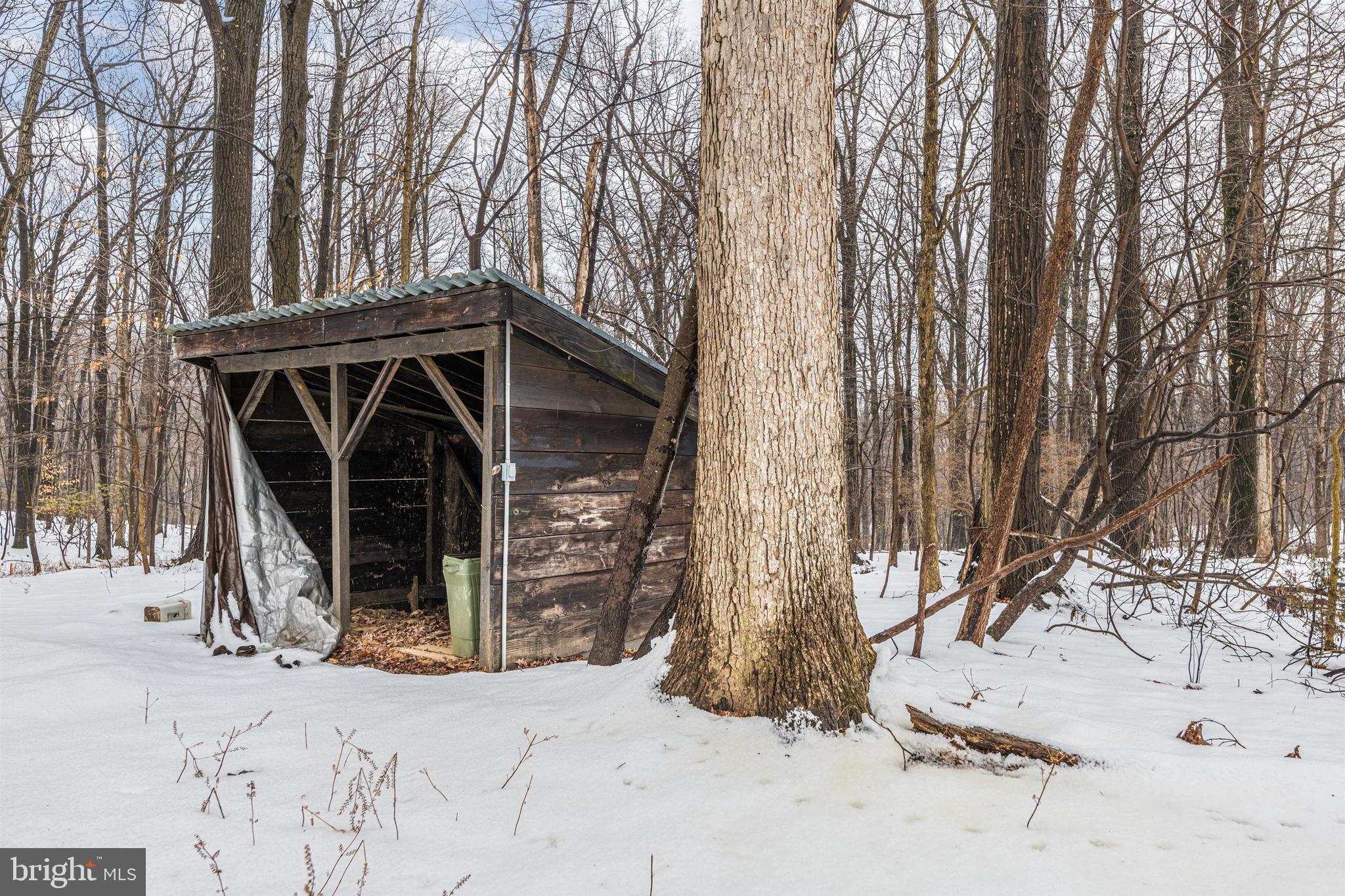 4548 Elmer Derr Road Frederick, MD 21703 - Photo 27 of 30 Backyard - Second Storage Shed