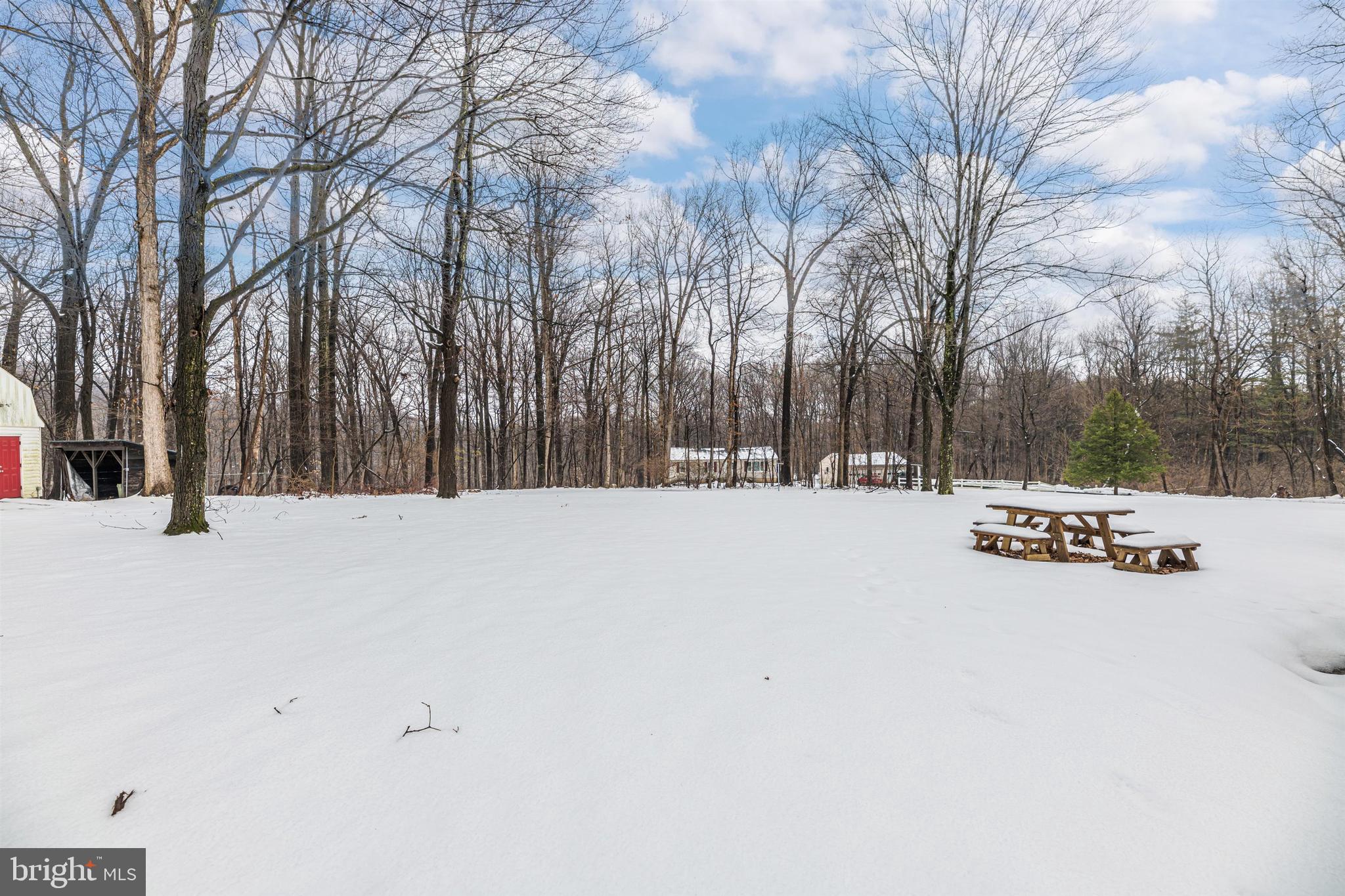 4548 Elmer Derr Road Frederick, MD 21703 - Photo 28 of 30 Backyard