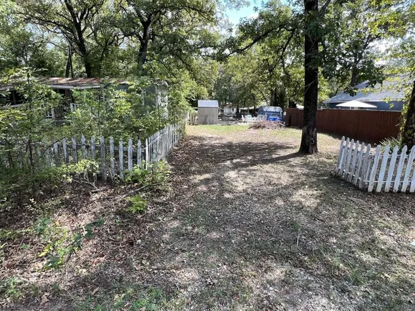 a view of a yard with plants and trees