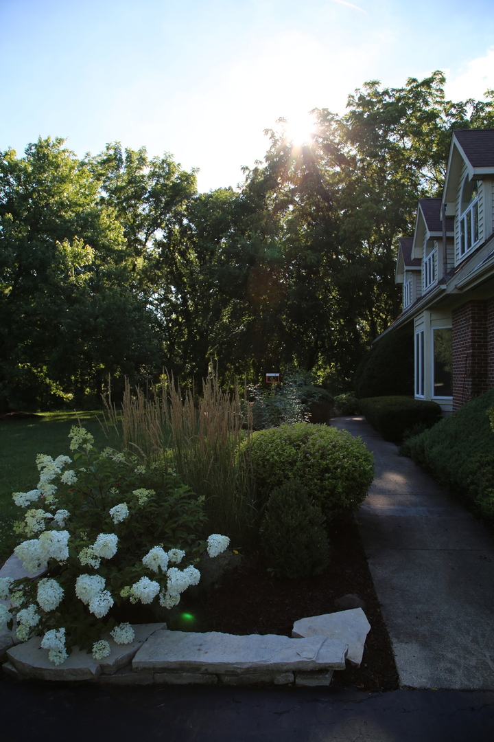 28W130 Roosevelt Road Winfield, IL 60190 - Photo 12 of 54 a view of a garden with a fountain