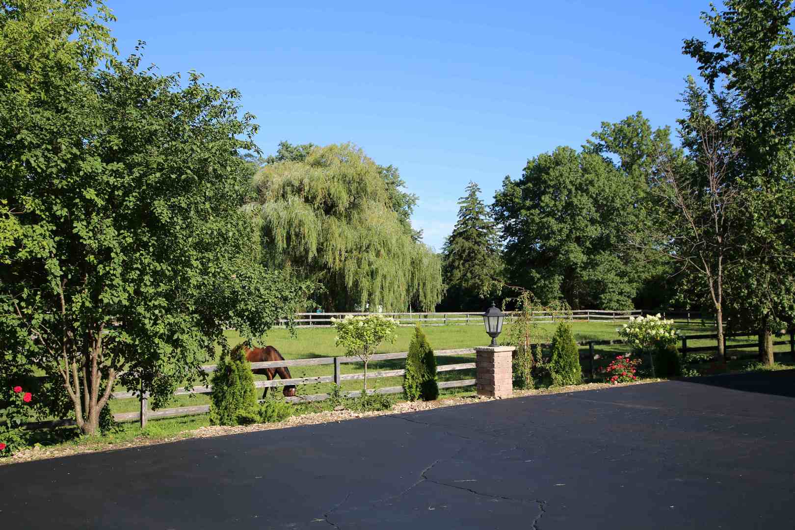 28W130 Roosevelt Road Winfield, IL 60190 - Photo 10 of 54
