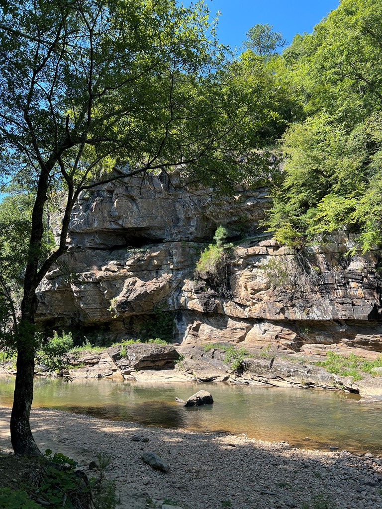 197 Stirratt Road Ranger, GA 30734 - Photo 17 of 25 a view of water with large tree