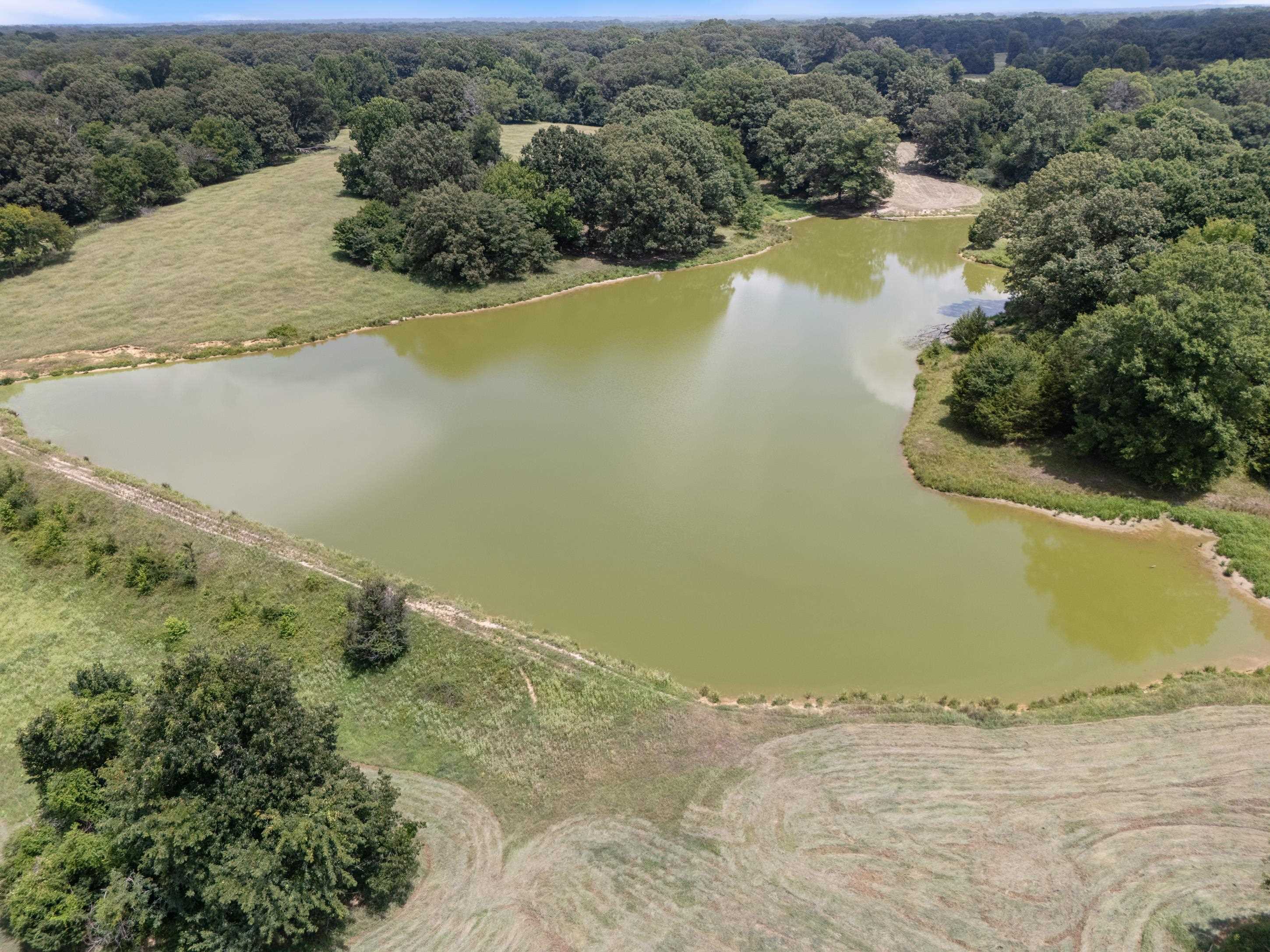 1150 Veazey Road Coldwater, MS 38618 - Photo 16 of 31 Gallery Image 16