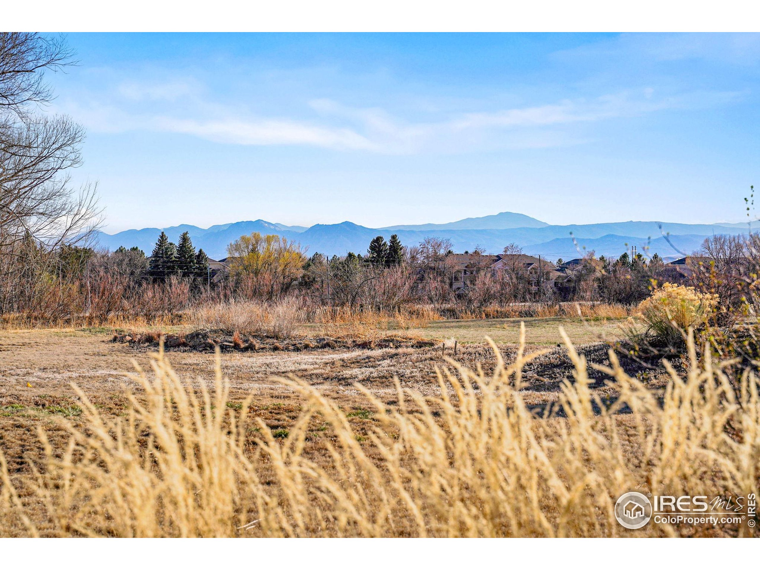 8858 Prairie Knoll Drive Longmont, CO 80503 - Photo 39 of 43