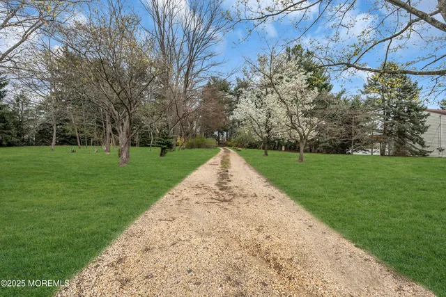 a potted plant sitting on the side of a building