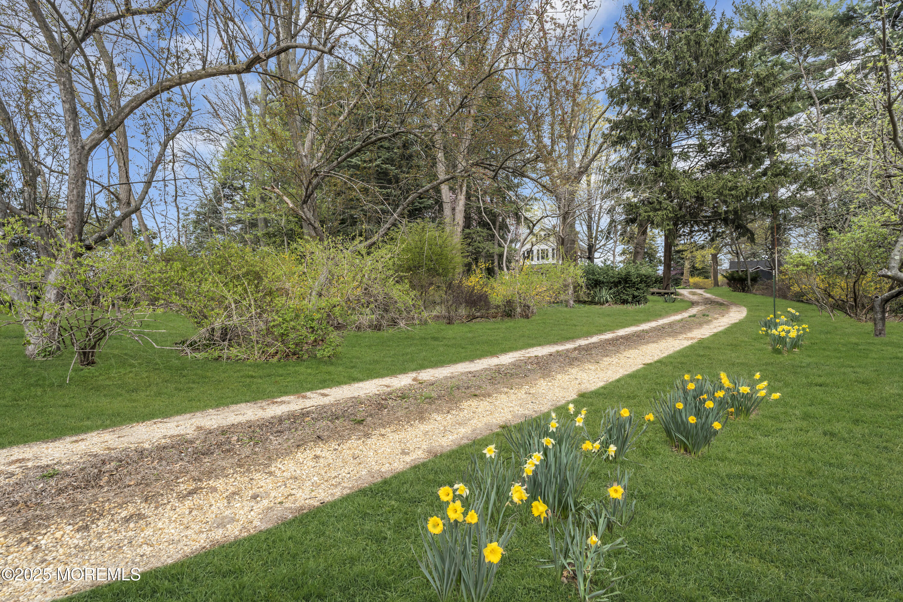 627 Beers Street Hazlet, NJ 07730 - Photo 12 of 64 a view of a park with large trees