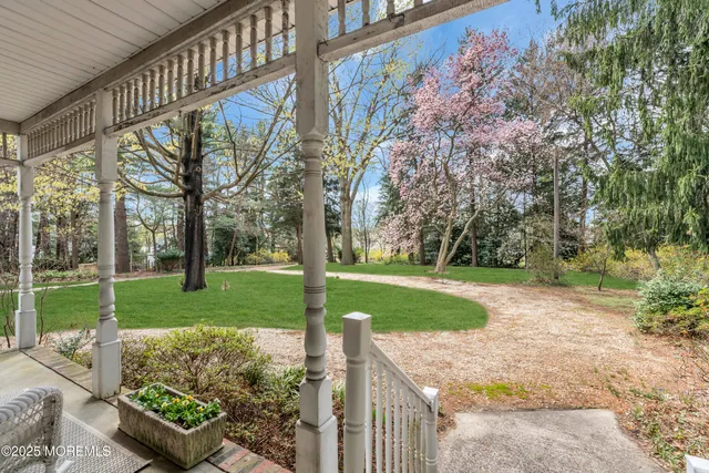 a view of a park with large trees