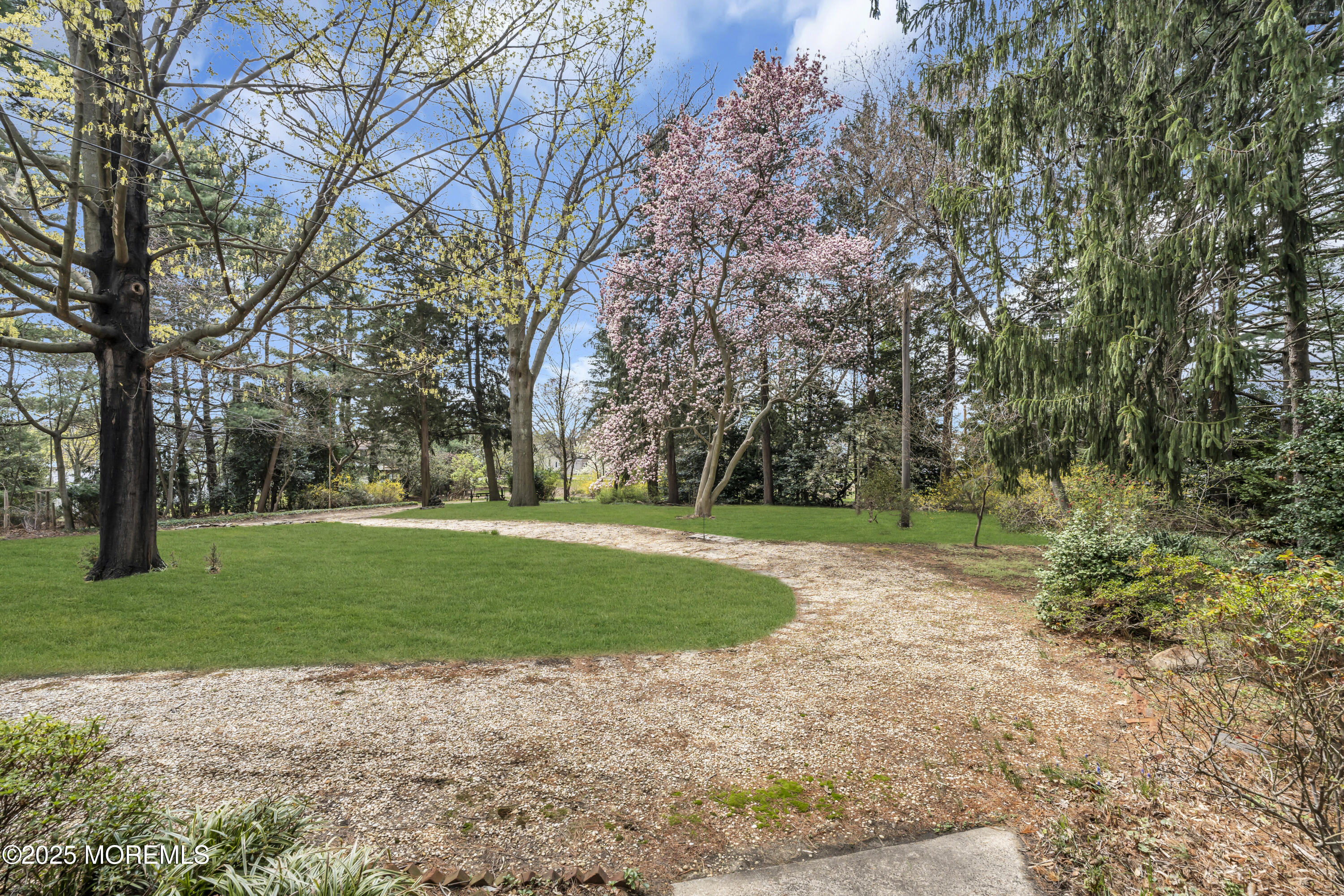 627 Beers Street Hazlet, NJ 07730 - Photo 10 of 64 a view of a park with large trees
