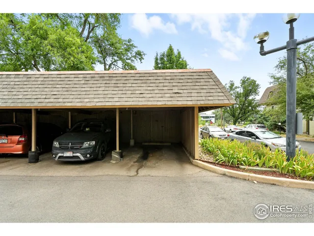 a view of a backyard with a large tree