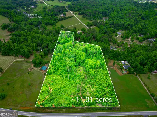 a green field with lots of trees