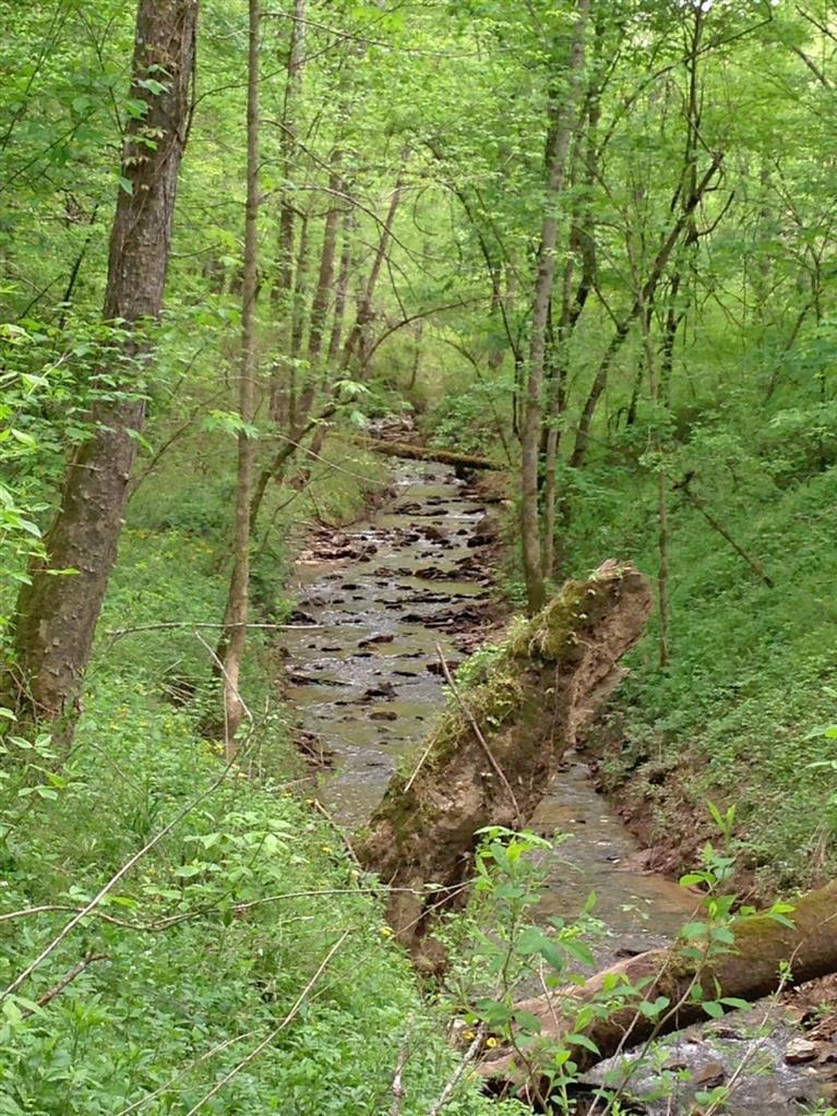 100 Gabbard Road Annville, KY 40402 - Photo 4 of 10 Additional Photo