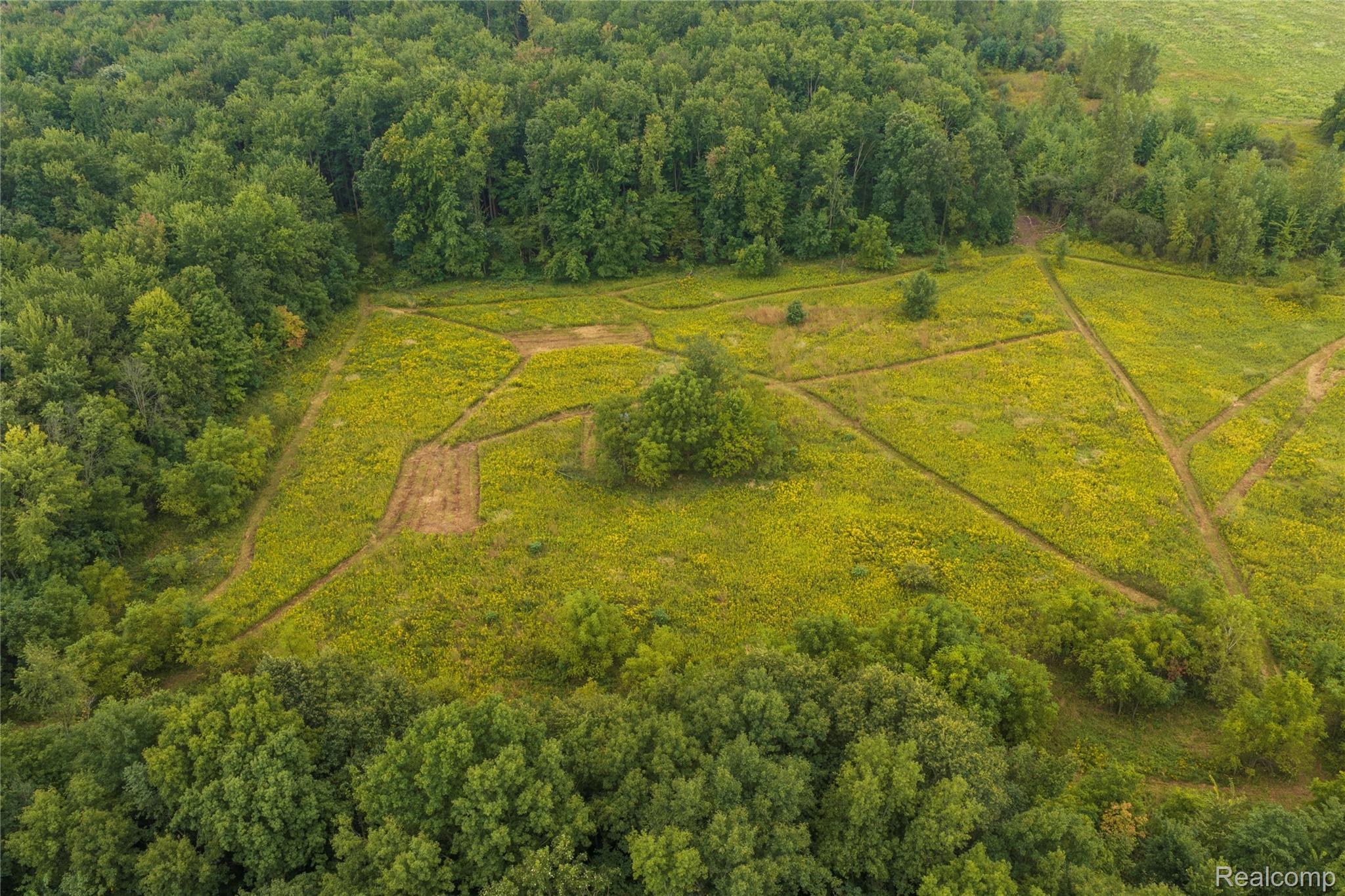 10582 Grover Road Reading, MI 49274 - Photo 6 of 18 6 Reading Center CRP.jpg