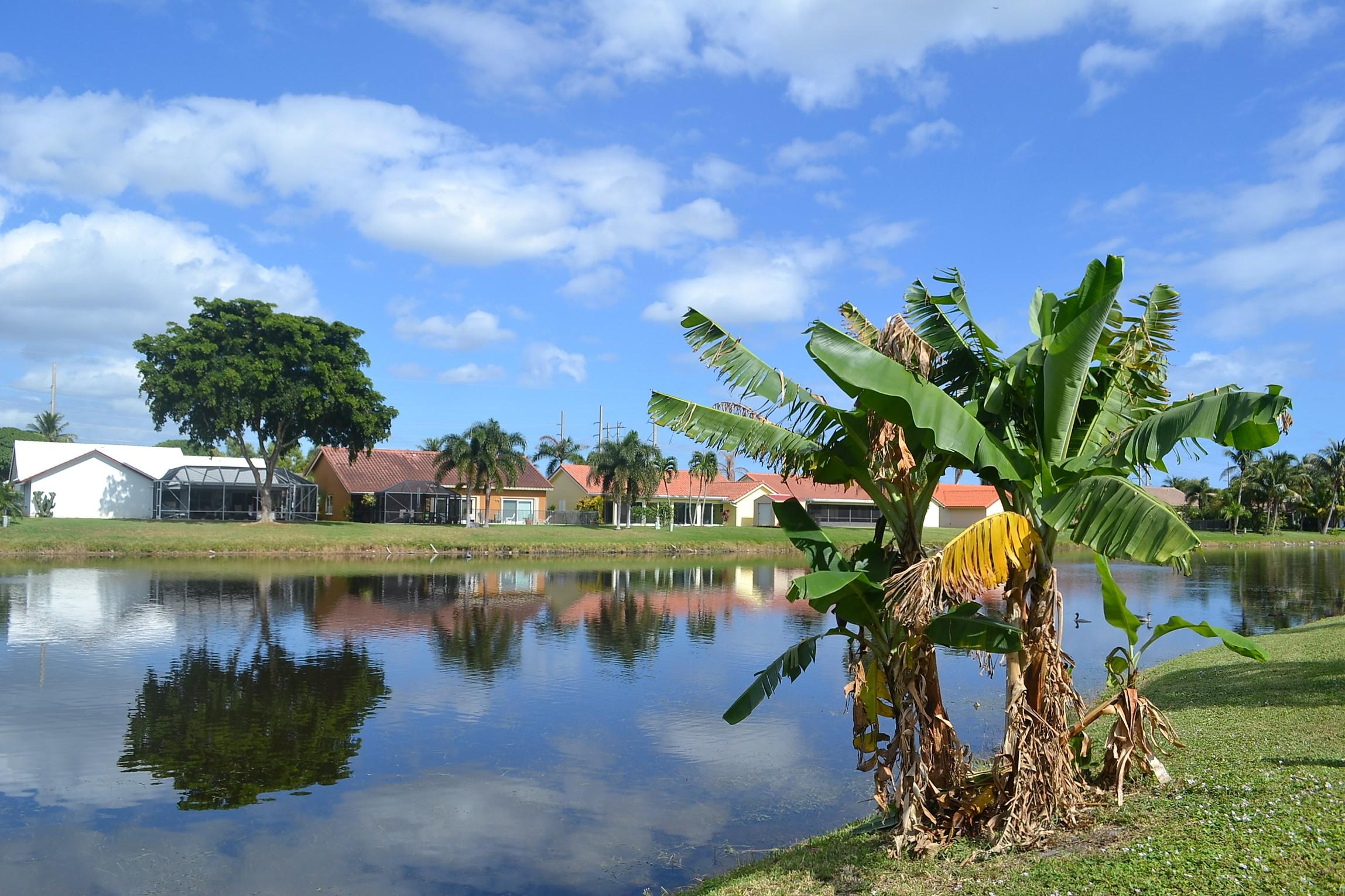 9540 El Clair Ranch Road Boynton Beach, FL 33437 - Photo 23 of 26 a view of a lake