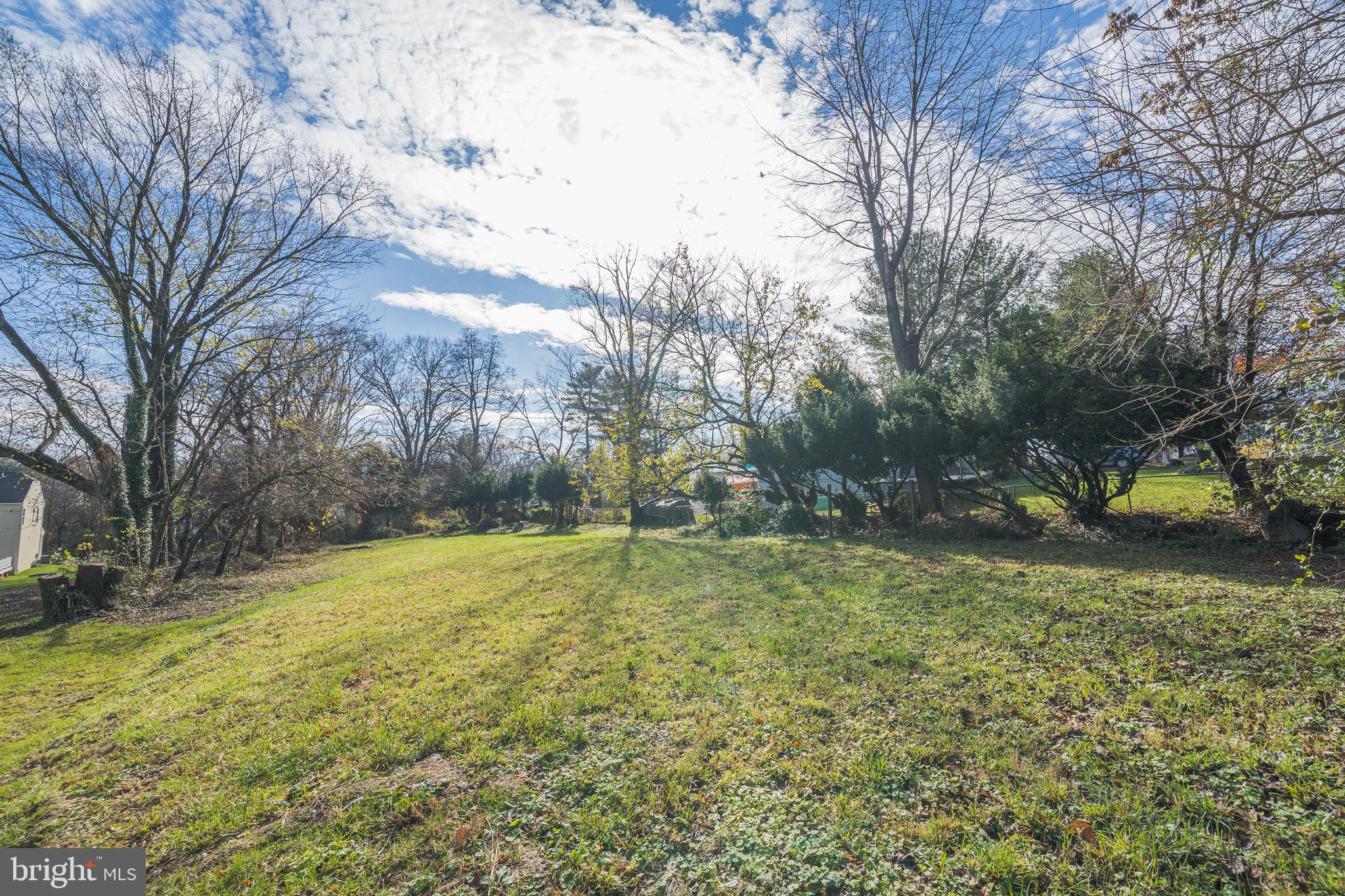 a view of a yard with trees