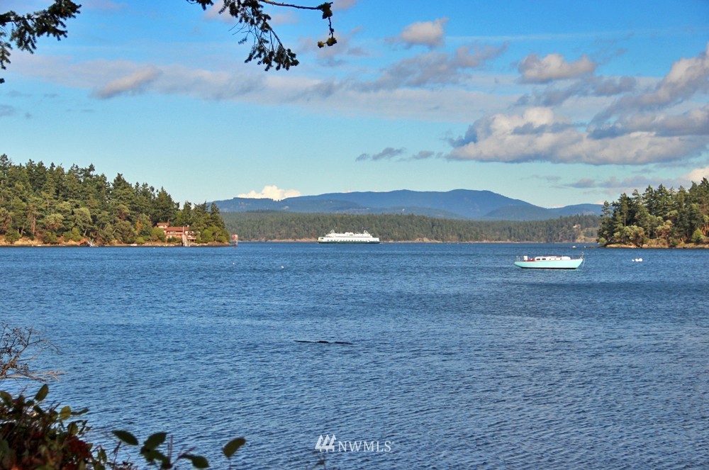 740 Turn Point Road San Juan Island, WA 98250 - Photo 1 of 13