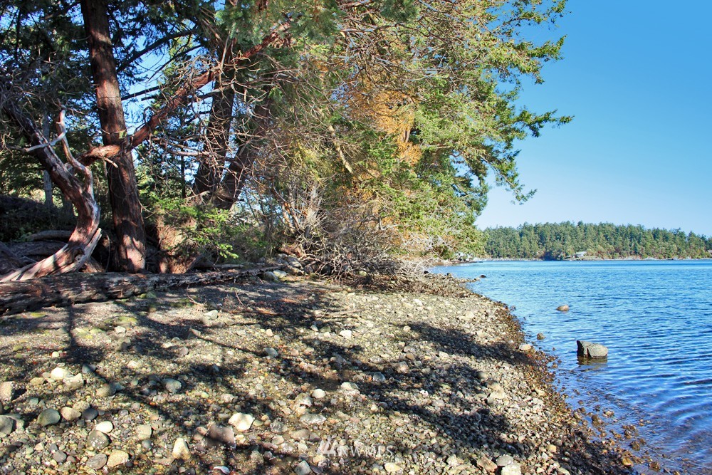 740 Turn Point Road San Juan Island, WA 98250 - Photo 2 of 13