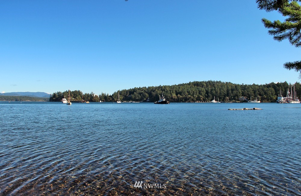 740 Turn Point Road San Juan Island, WA 98250 - Photo 4 of 13