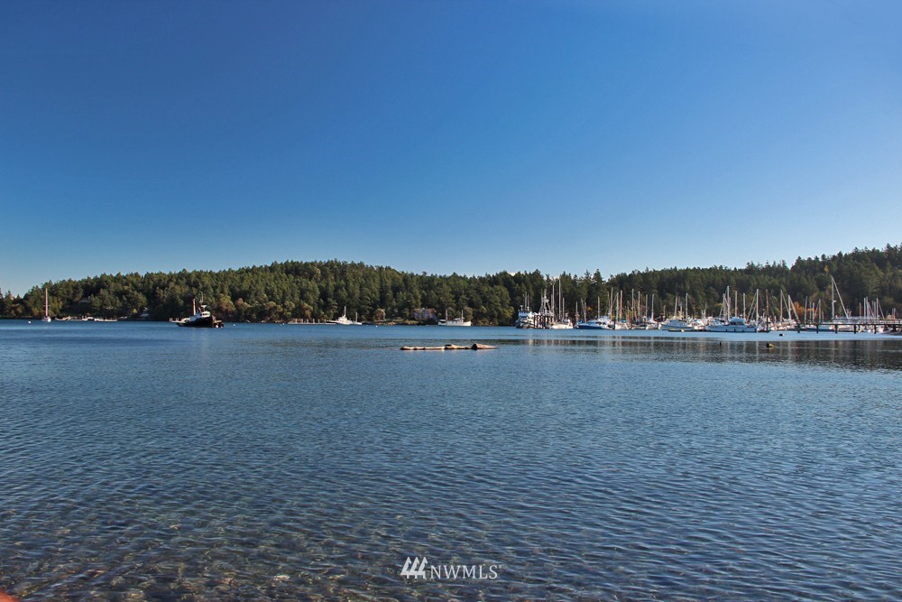 740 Turn Point Road San Juan Island, WA 98250 - Photo 5 of 13