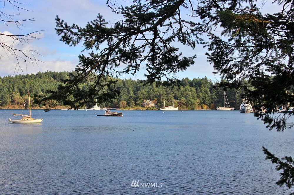 740 Turn Point Road San Juan Island, WA 98250 - Photo 6 of 13