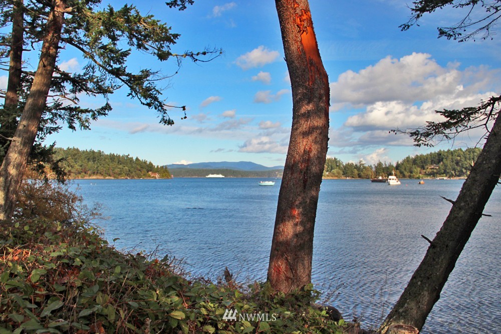 740 Turn Point Road San Juan Island, WA 98250 - Photo 7 of 13