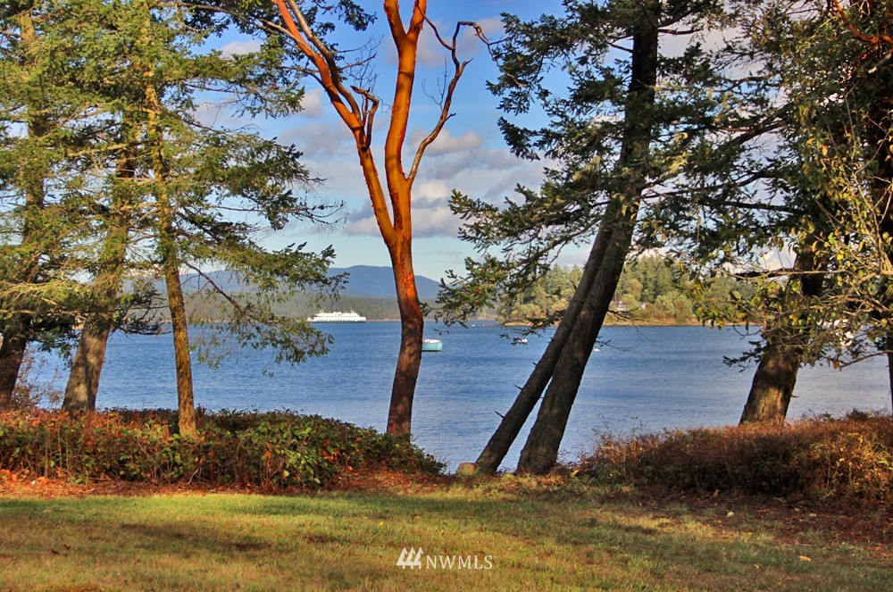 740 Turn Point Road San Juan Island, WA 98250 - Photo 8 of 13