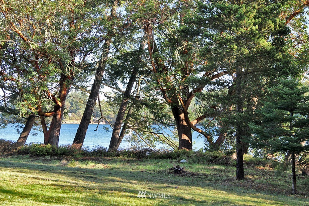 740 Turn Point Road San Juan Island, WA 98250 - Photo 9 of 13