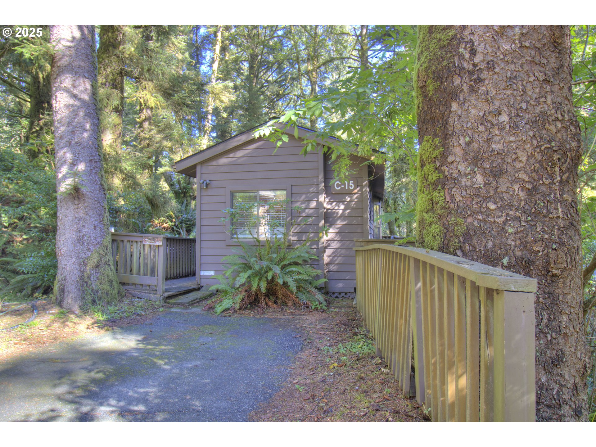 19921 Whaleshead Road, Unit C15 Brookings, OR 97415 - Photo 1 of 14 a view of a backyard with plants and large trees