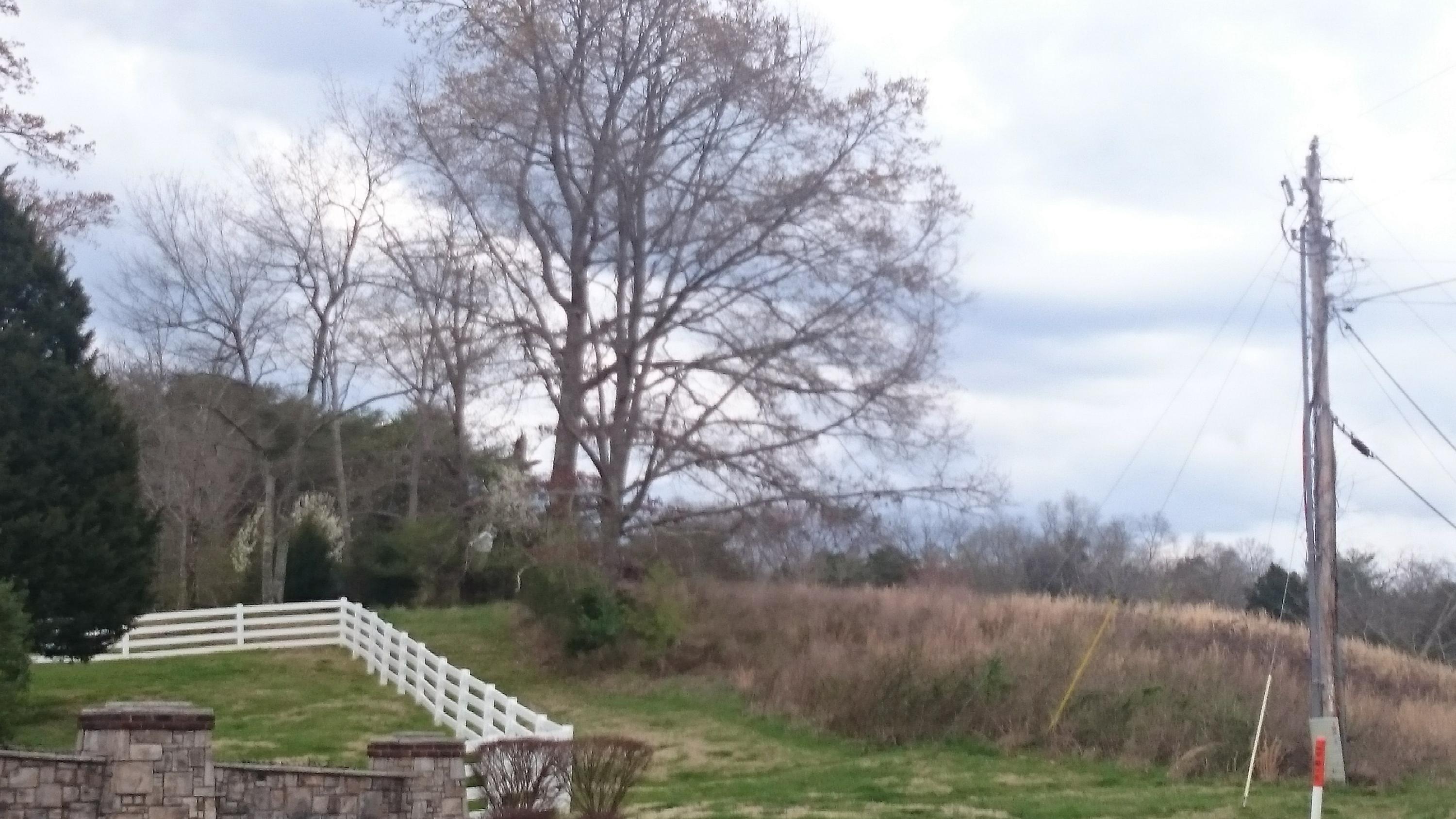 0 Pin Hook Road Spring City, TN 37381 - Photo 3 of 9 View from side